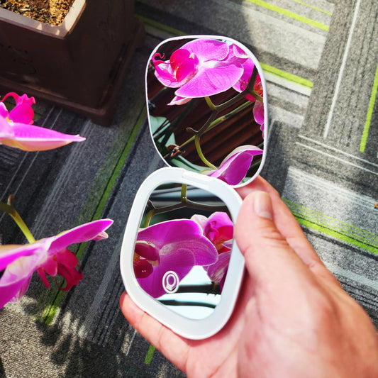 Deens ovaal | Make-up spiegel met LED verlichting