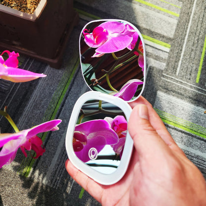 Deens ovaal | Make-up spiegel met LED verlichting